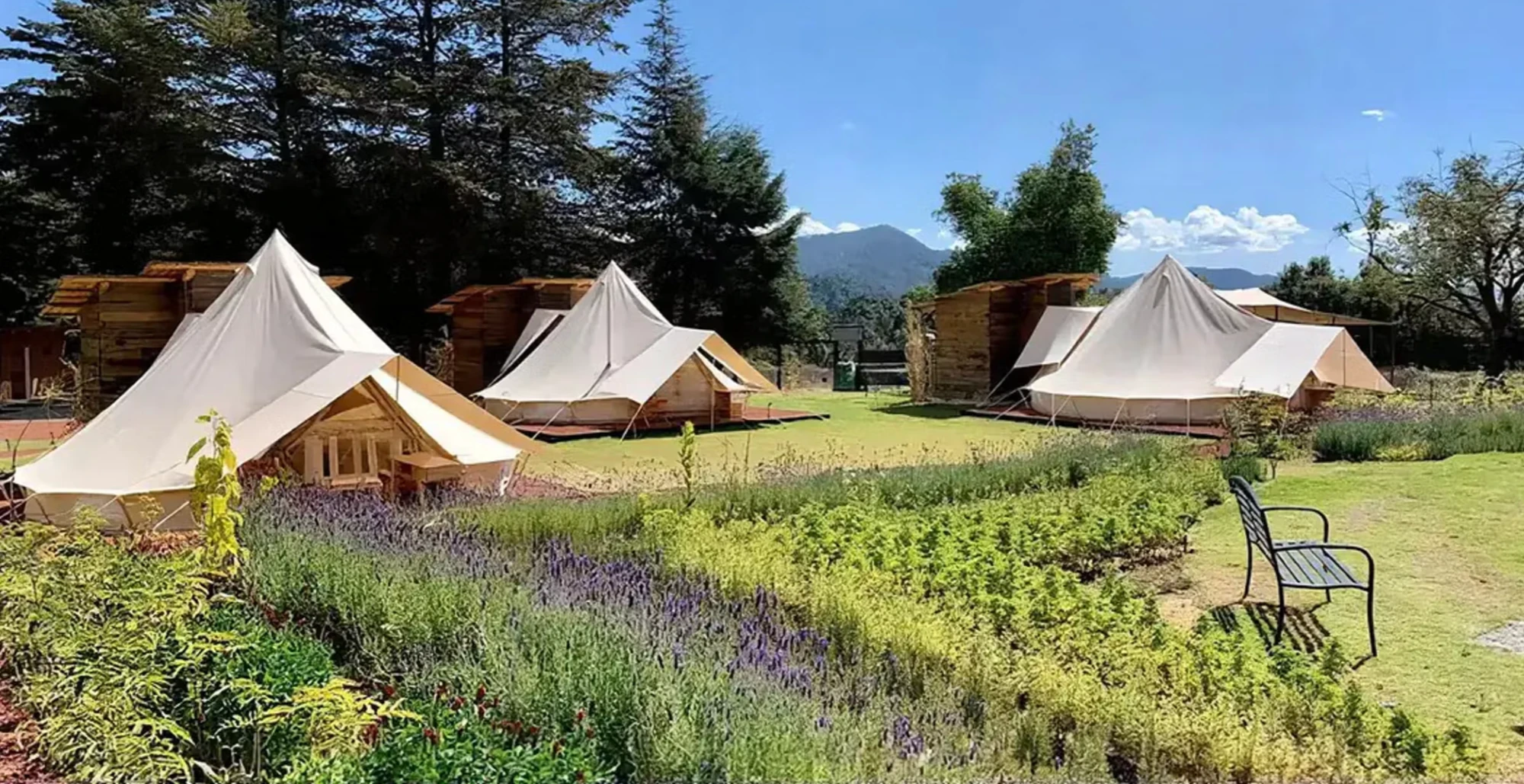 Glamping tents at Attesi Lodge among lavender gardens with mountains beyond